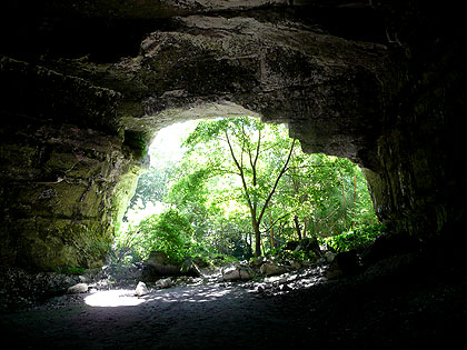 La grotte de Caumont