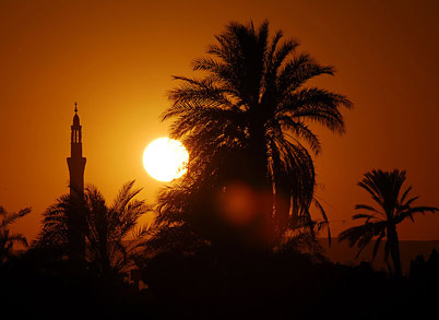 paysage d'égypte sur coucher de soleil : palmiers et minaret